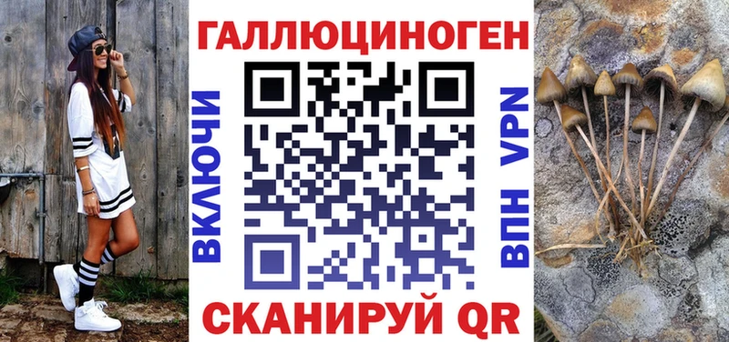 Псилоцибиновые грибы Cubensis  Мегион 